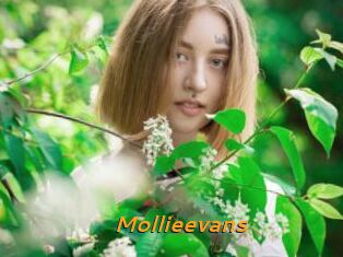 Mollieevans