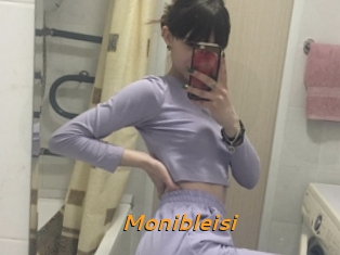 Monibleisi
