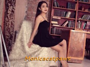 Monicacatpaws