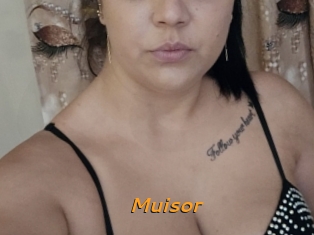 Muisor