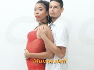 Mulataaleh