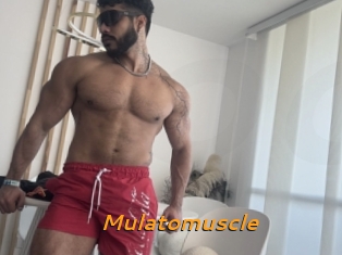 Mulatomuscle