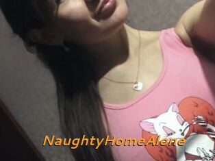 NaughtyHomeAlone