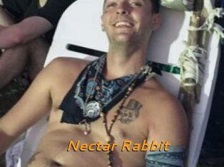 Nectar_Rabbit