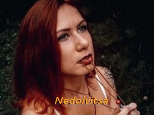 Nedolvitsa