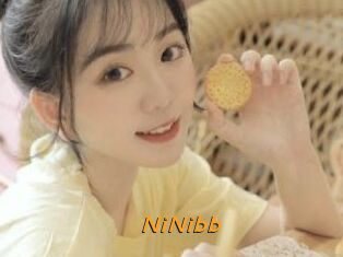 NiNibb
