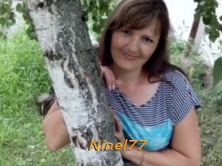 Ninel77