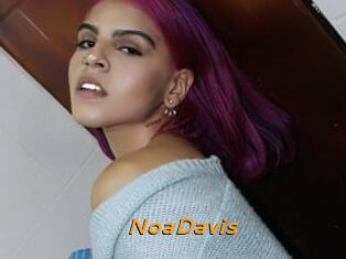 NoaDavis