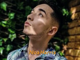 NoaHarris