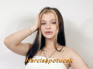 Narcisapotucek