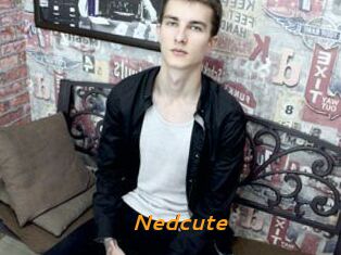 Nedcute