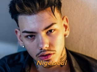 Nigelsoul