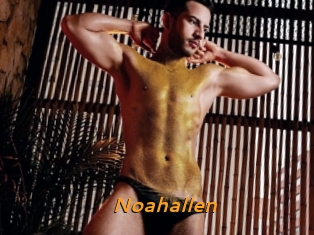 Noahallen
