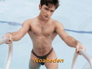 Noaheden