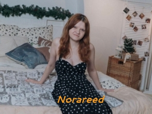 Norareed