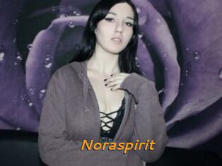 Noraspirit