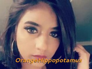 OrangeHippopotamus