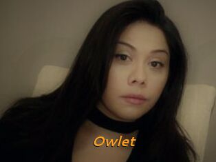 _Owlet_