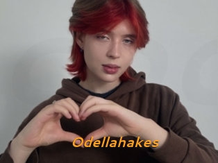 Odellahakes