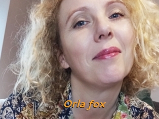 Orla_fox