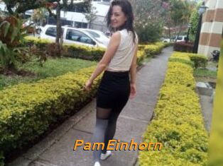 PamEinhorn