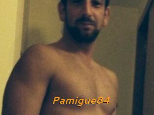 Pamigue84