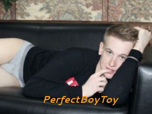 PerfectBoyToy