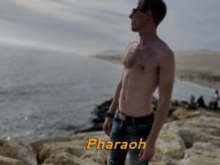 Pharaoh