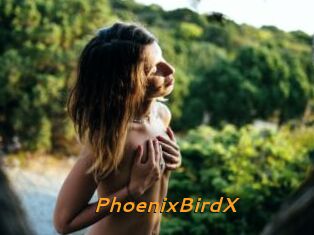 PhoenixBirdX