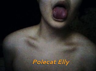 Polecat_Elly