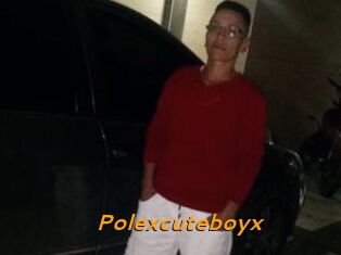 Polexcuteboyx