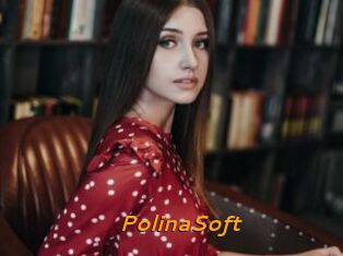 PolinaSoft