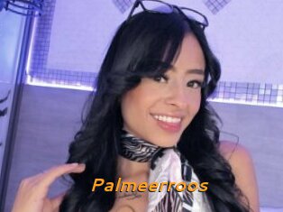 Palmeerroos