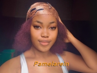 Pamelarein