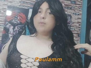 Paulamm