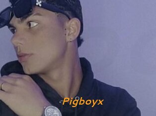 Pigboyx