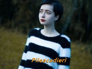 Pileacadieri