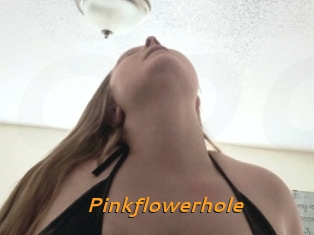 Pinkflowerhole