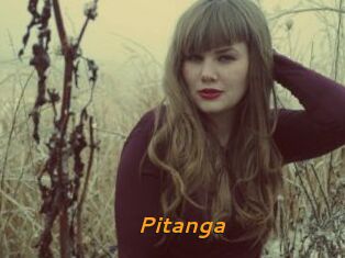 Pitanga