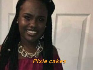 Pixie_cakes