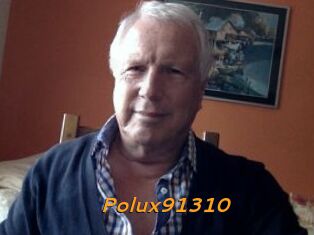 Polux91310