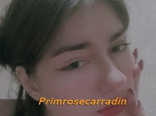 Primrosecarradin