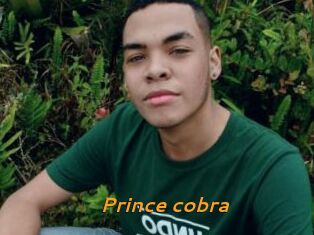 Prince_cobra
