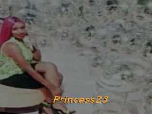 Princess23