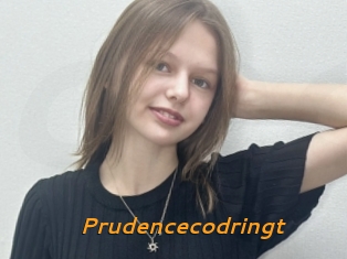 Prudencecodringt