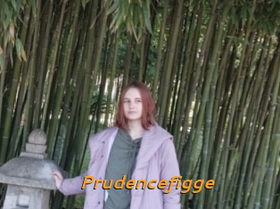 Prudencefigge