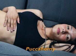 Puccahorny