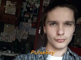Pulseboy