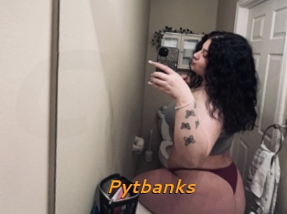 Pytbanks