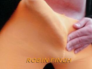 ROBIN_FINCH